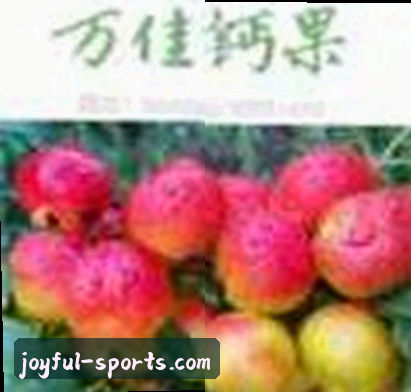 赵阳
